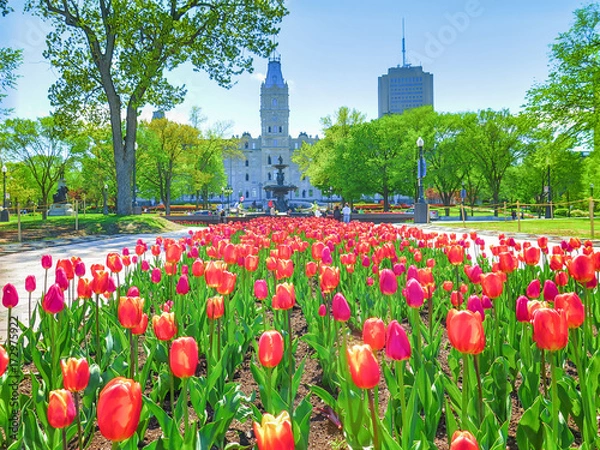 Obraz Visiting Quebec City in Canada