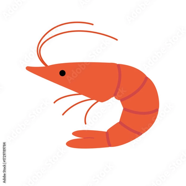 Obraz シンプルなエビのイラスト　かわいい,ポップ,イラスト,おせち,生き物,素材,海,食べ物