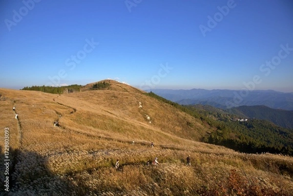 Obraz 秋の生石高原と青空のハイキング