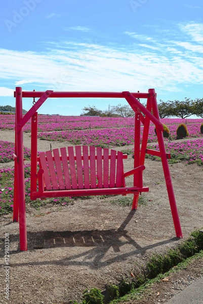 Obraz 花ひろば、松葉ボタンとブランコ