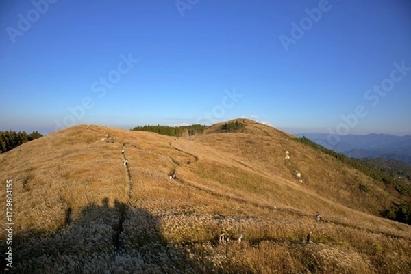 Obraz 秋の生石高原と青空のハイキング