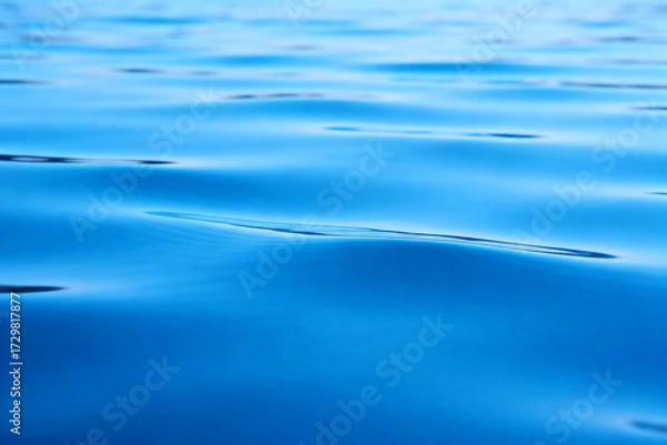 Fototapeta Calm blue water surface with gentle ripples and reflections