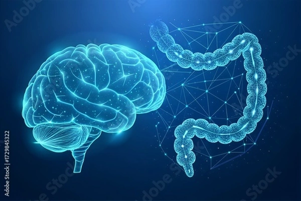 Fototapeta Digital Gut-Brain Axis Visualization: Glowing Blue Neural Network Linking Human Brain and Colon on Dark Background