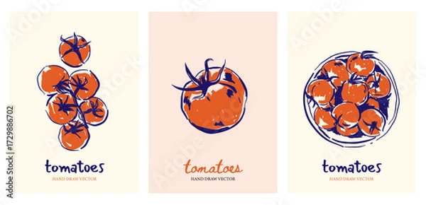 Fototapeta Whimsical hand drawn tomatoes, Doodles drawings art pomodoro illustrations, line art sketch for poster, sticker, greeting card, menu, invitation, postcard