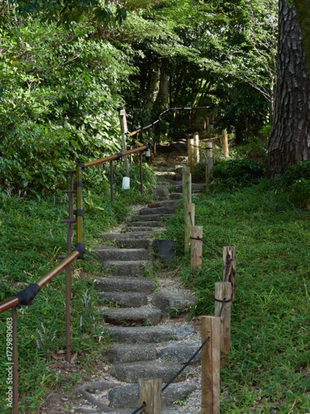 Fototapeta 夏の徳川園の森と小道の風景