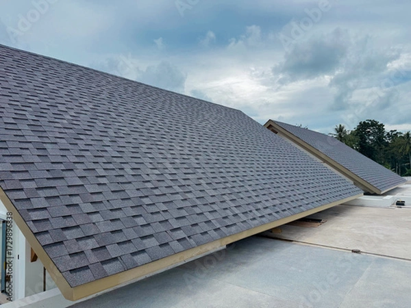 Obraz Modern Single roof