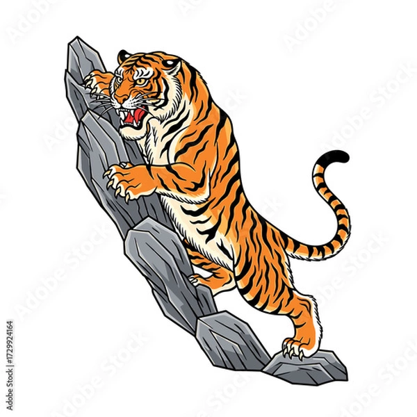 Fototapeta A fierce tiger with orange and black stripes climbs a rocky outcrop with its claws extended.