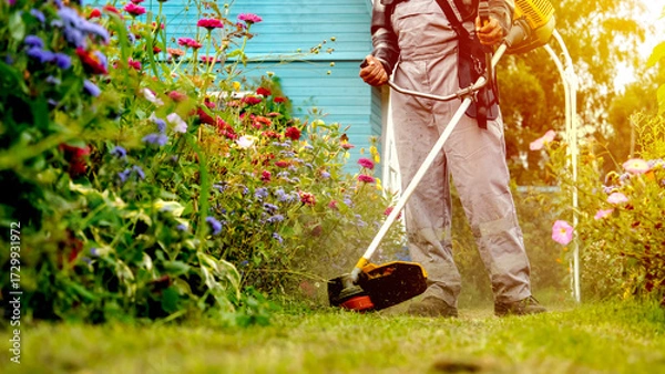 Obraz A man mows the grass with a grass trimmer