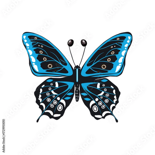 Fototapeta Realistic Butterfly  vector illustration