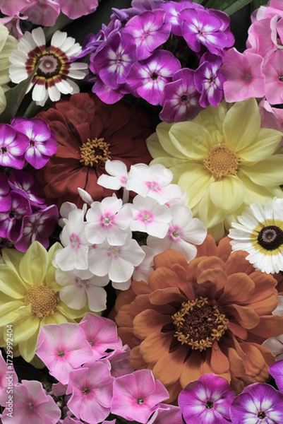 Fototapeta Vibrantly colored bouquet displaying a variety of fresh flowers