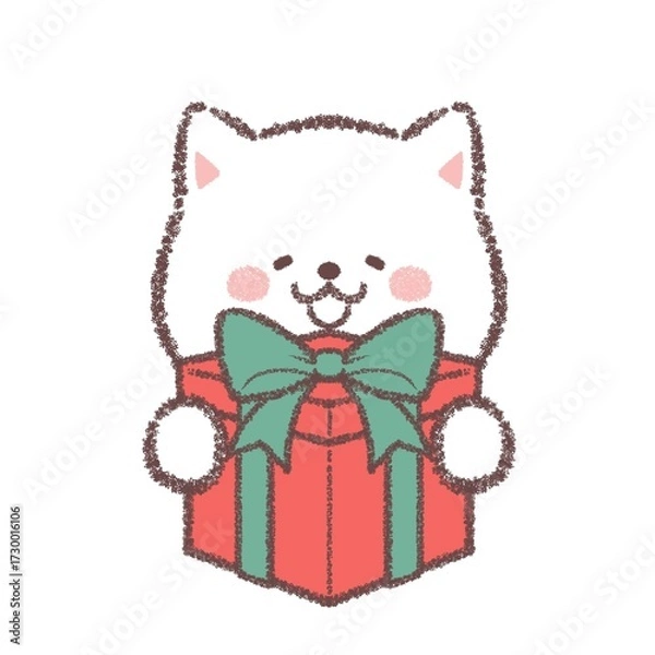 Fototapeta プレゼントをもらって喜ぶ白柴犬