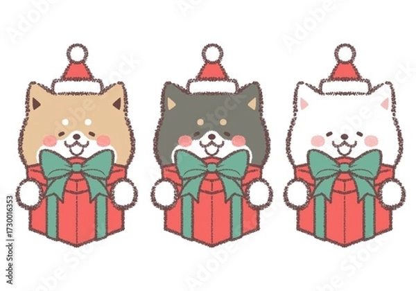 Fototapeta クリスマスプレゼントをもらって喜ぶ三柴犬セット