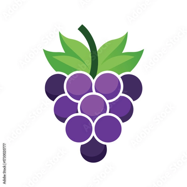 Fototapeta Purple grape cluster