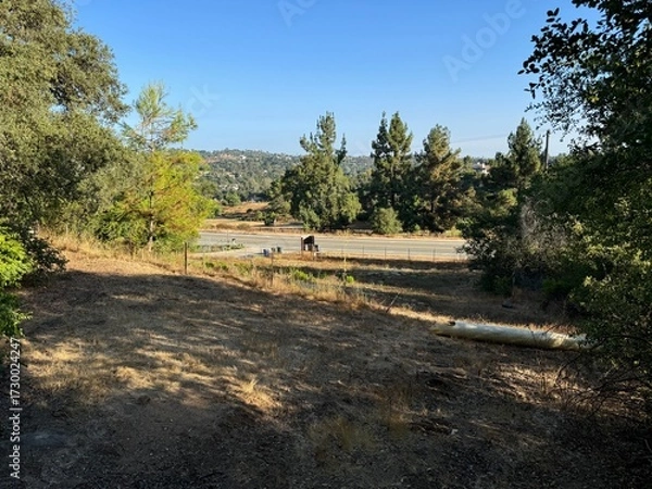 Obraz overlooking an empty street through the mountainous forest - Escondido, California, USA