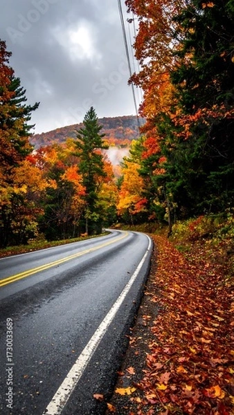 Obraz Autumn road through colorful forest (1)