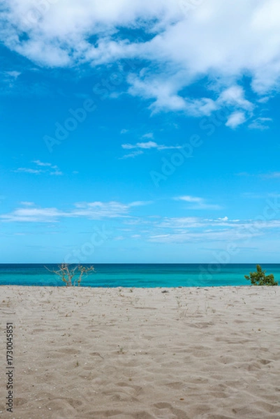 Obraz Beautiful, deserted Caribbean beach near the border with Haiti. Tranquil, crystal clear, turquoise Caribbean sea. Peaceful vacation, nobody. Contrast with bush branches in the foreground. Copy space. 