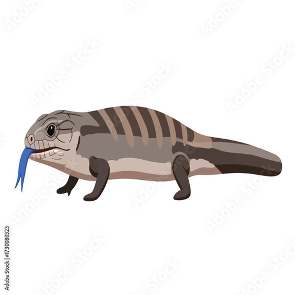 Obraz Illustration of a blue-tongued skink lizard with gray and brown stripes, sticking out its blue tongue, isolated on white.