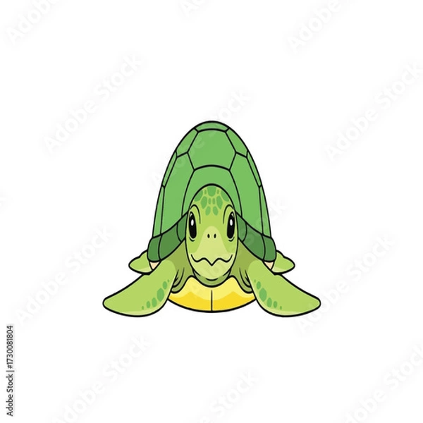 Obraz A cartoon illustration of a green turtle facing the viewer, isolated.