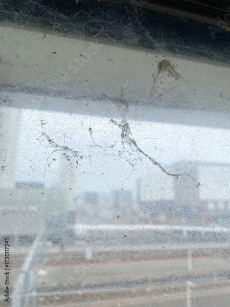 Fototapeta 窓ガラスに張った蜘蛛の巣