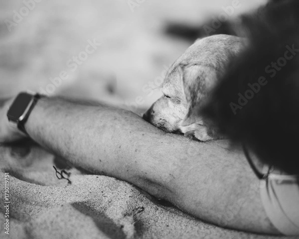 Obraz Miłość do psa