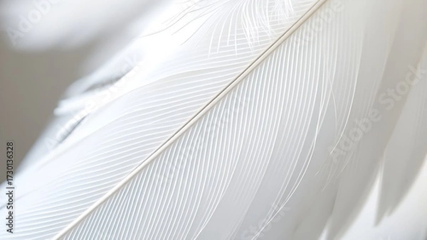 Fototapeta Close-up of a delicate white feather wing, showcasing intricate details in soft, focused light.