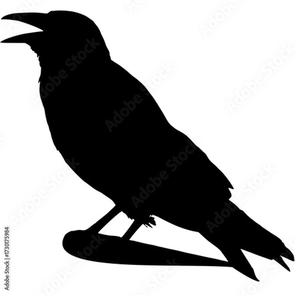 Fototapeta  Bird Silhouettes Black Vector Bird and Perch  Silhouette