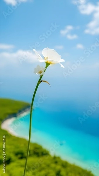 Obraz Single white flower against blue sky, Beautiful Wallpaper