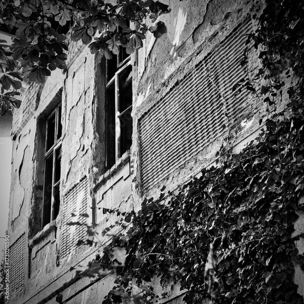Fototapeta Black and white photo of abandoned building with cracked walls and broken windows. Nature reclaims urban decay. Ideal for editorial, architecture, and contrast-themed visuals.