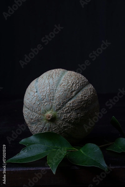 Obraz Close-up of green cantaloupe melon, black background, vertical, with copy space