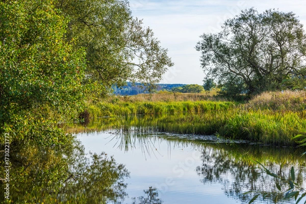 Fototapeta Calm autumn river with trees and grass reflecting in clear water on background of bright rural landscape. Sweden.