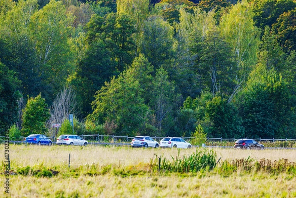 Fototapeta Parking with cars near meadow and forest with autumn trees and colorful foliage. Sweden.