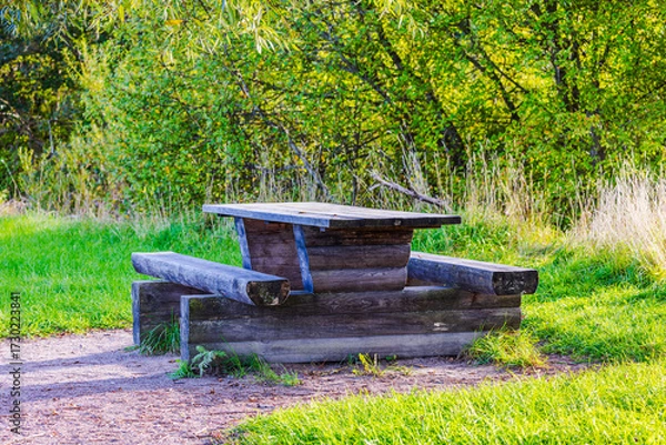 Fototapeta Close up view of wooden picnic table with benches surrounded by green grass and autumn trees on background of nature. Sweden.