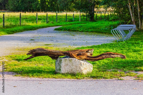 Fototapeta Unusual wooden bench from dry log on stone near bicycle parking in park with grass and walking path. Sweden.