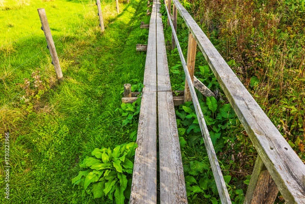 Fototapeta Close up view of wooden walkway with railing across green grass on background of plants. Sweden.