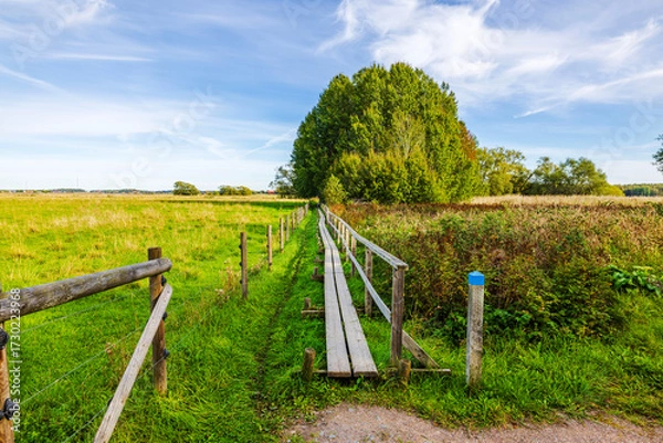 Fototapeta Wooden footpath walkway with railing across green pasture on background of autumn trees and blue sky. Sweden.