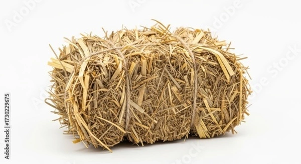 Fototapeta Close up of a hay bale tied with twine on white background