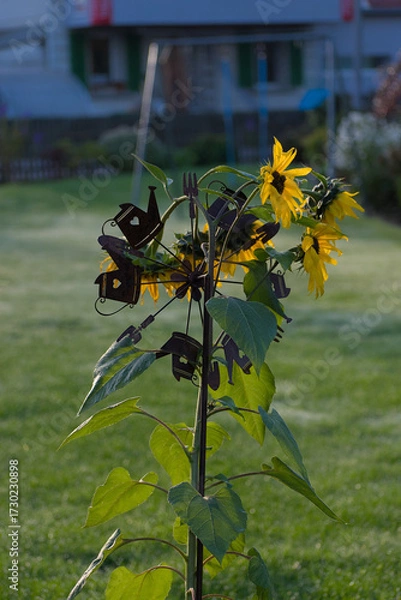 Fototapeta A sunflower with a dark, decorative metal stake featuring small house and garden tool silhouettes stands in a grassy yard on a misty morning.