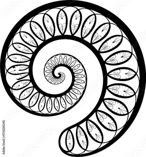 Fototapeta Intricate Spiral Shell Design for Tattoo Coloring Pages and Crafts