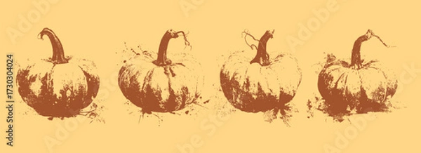 Obraz Pumpkin grunge stamp illustration set, textured ink prints for autumn harvest design or rustic food themes. Vector collection.