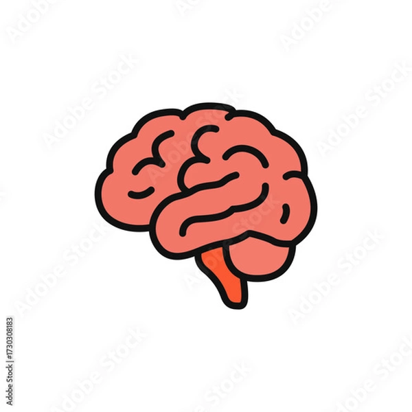 Fototapeta Anatomical human brain icon showing the cerebrum and cerebellum, symbolizing intelligence, thought, creativity, and mental health.