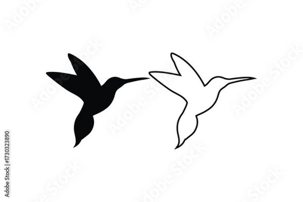 Fototapeta Two hummingbirds in contrasting shades a simple and elegant silhouette