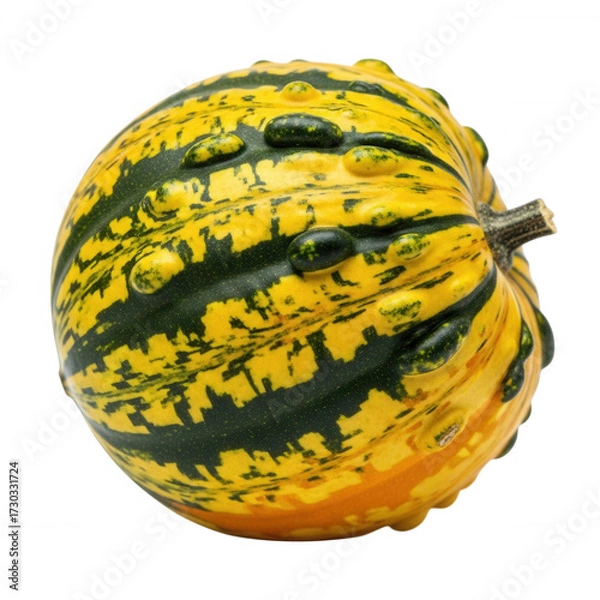 Obraz Bumpy yellow and green gourd with textured surface isolated on a transparent background squash vegetable