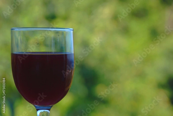 Obraz Red Wine