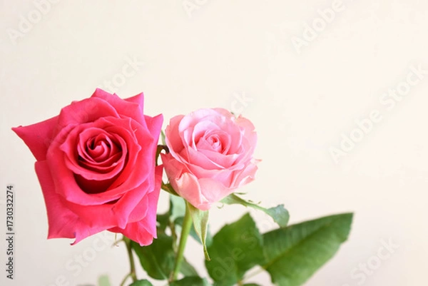 Fototapeta ピンクのばら