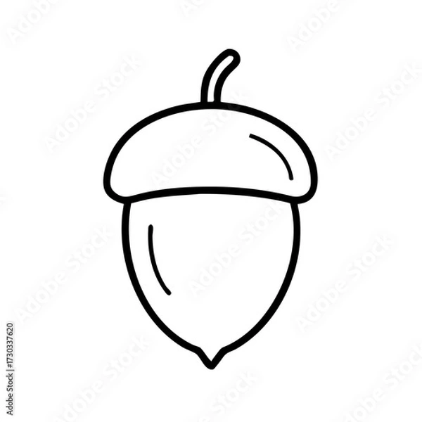 Fototapeta Simple outline of an acorn on white background  