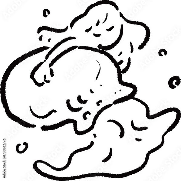 Fototapeta 水瓶座のイラスト
