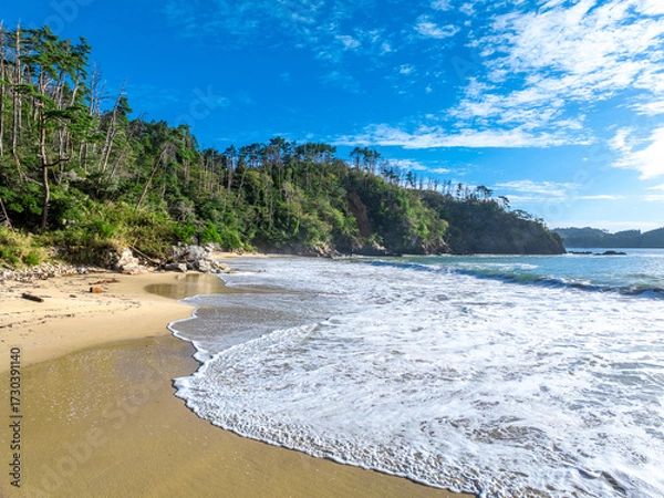 Obraz 気仙沼大島・十八鳴浜（宮城県気仙沼市）