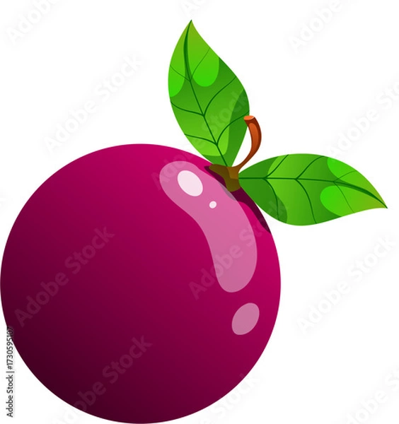 Obraz Passion Fruit Illustration 