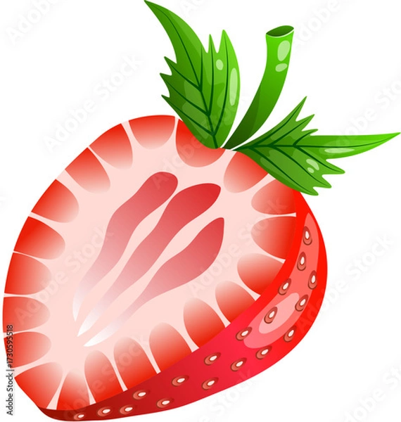 Obraz Slice of Strawberry Fruit Illustration  