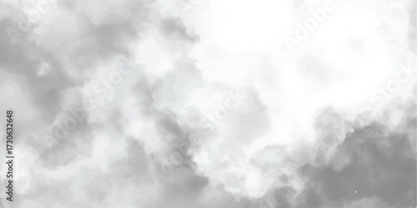 Fototapeta gray sky and clouds with copy space. Sky gray or azure sky and clouds panorama white background. romantic summer gray sky with fluffy clouds, Beautiful puffy clouds in bright gray sky in day sunlight.
